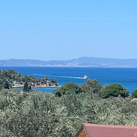 Vrasna 1 דיקילי