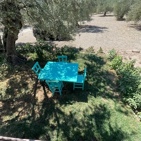 Vrasna 1 דיקילי